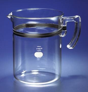 Pyrex&#174; beaker with recessed wall for handle complete