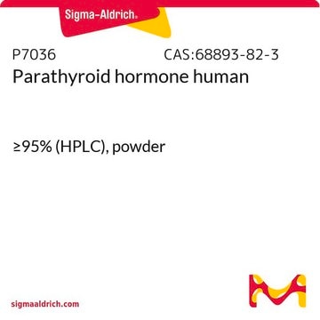 Parathyroid hormone human &#8805;95% (HPLC), powder