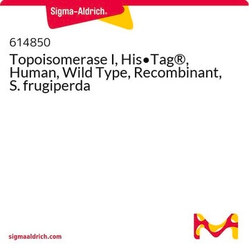 Topoisomerase I, His&#8226;Tag&#174;, Human, Wild Type, Recombinant, S. frugiperda