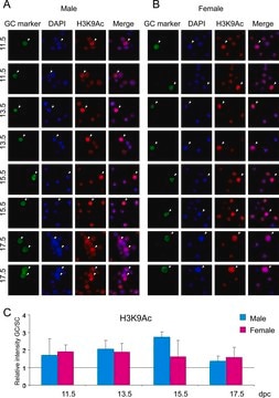 Anti-acetyl-Histone H3 (Lys9) Antibody serum, Upstate&#174;