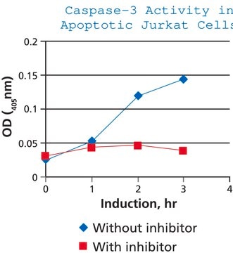 Caspase 3 Assay Kit, Colorimetric