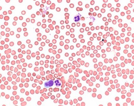 Buffer tablets pH 6.4 for preparing buffer solution acc. to WEISE for the staining of blood smears