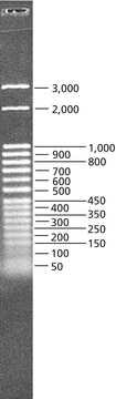 DirectLoad&#8482; 50 bp DNA Step Ladder ready-to-use marker for DNA electrophoresis