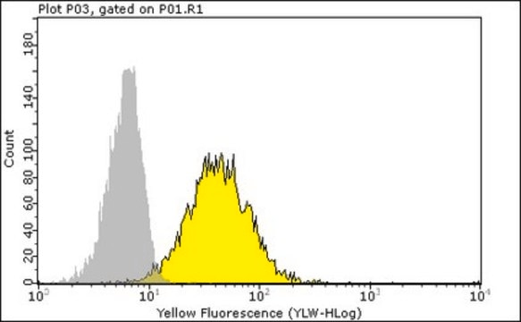 Anti-HLA-B7 Antibody, clone BB7.1, PE Conjugate clone BB7.1, Chemicon&#174;, from mouse