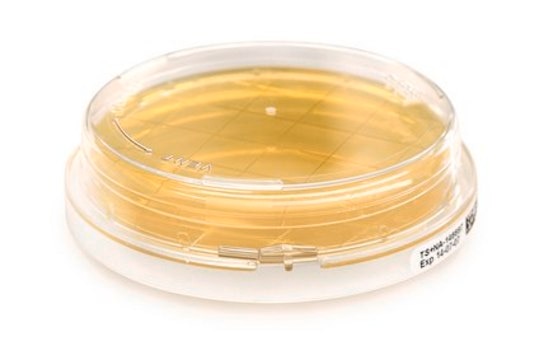 Tryptic Soy Agar - Ready-to-use Contact Plates Lecithin, Tween&#174;, ICR plus with lockable lid, plate diam. 55&#160;mm, sterile; &#947;-irradiated, pkg of 10&#160;plates Triple packed, suitable for air monitoring