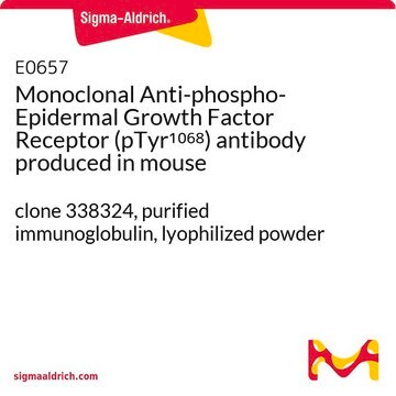 Monoclonal Anti-phospho-Epidermal Growth Factor Receptor (pTyr1068) antibody produced in mouse clone 338324, purified immunoglobulin, lyophilized powder