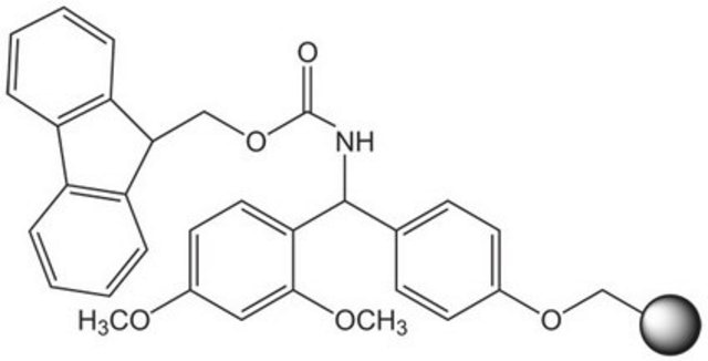 Rink Amide resin (100-200 mesh) Novabiochem&#174;