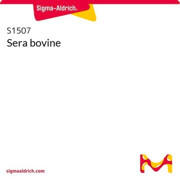 Sera bovine