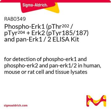 Phospho-Erk1 (pThr202 / pTyr204 + Erk2 (pTyr185/187) and pan-Erk1 / 2 ELISA Kit for detection of phospho-erk1 and phospho-erk2 and pan-erk1/2 in human, mouse or rat cell and tissue lysates