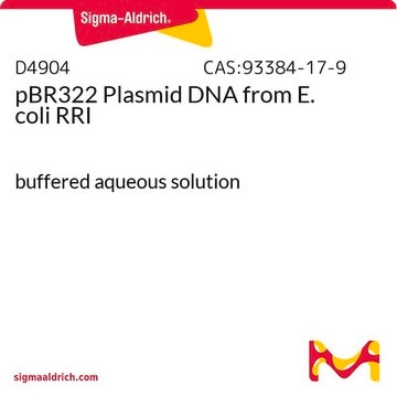 pBR322 Plasmid DNA from E. coli RRI buffered aqueous solution