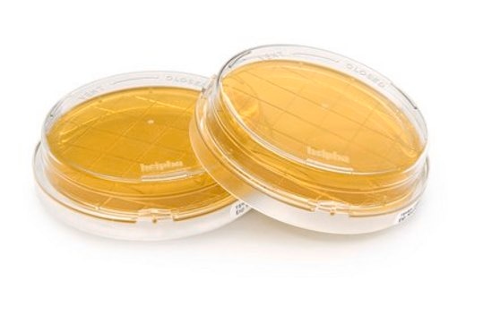 Tryptic Soy Agar - Ready-to-use Contact Plates Tween&#174;, Sodium Thiosulfate, Lecithin, Histidine, ICR plus with lockable lid, plate diam. 55&#160;mm, sterile; irradiated, pkg of 10&#160;plates Triple packed, suitable for surface monitoring