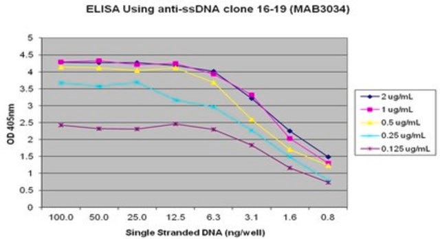 Anti-DNA Antibody, single stranded, clone 16-19 clone 16-19, Chemicon&#174;, from mouse