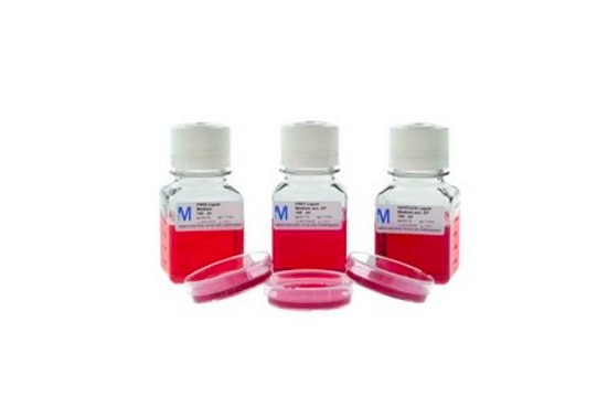 HAYFLICK Liquid Medium suitable for bioburden testing, For mycoplasma detection