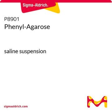 Phenyl-Agarose saline suspension