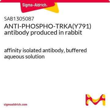 ANTI-PHOSPHO-TRKA(Y791) antibody produced in rabbit affinity isolated antibody, buffered aqueous solution