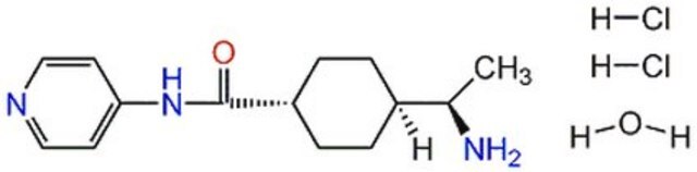 Y-27632 InSolution, &#8805;95%, reversible, inhibitor of Rho kinases