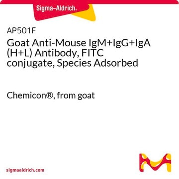 Goat Anti-Mouse IgM+IgG+IgA (H+L) Antibody, FITC conjugate, Species Adsorbed Chemicon&#174;, from goat