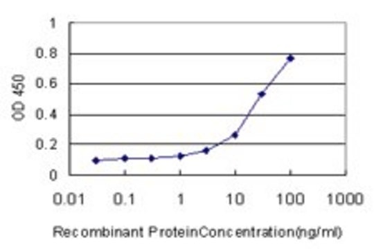 Monoclonal Anti-MACF1 antibody produced in mouse clone 6G7, purified immunoglobulin, buffered aqueous solution