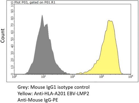 Anti-HLA-A02:01 EBV-LMP2A Antibody, clone MAB243