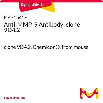 Anti-MMP-9 Antibody, clone 9D4.2 clone 9D4.2, Chemicon&#174;, from mouse