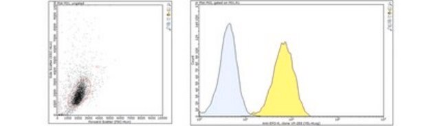 Anti-EPO-R Antibody, clone VP-2E8 clone VP-2E8, from mouse