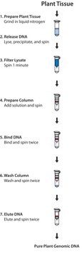 GenElute&#8482; Plant Genomic DNA Miniprep Kit sufficient for 10&#160;purifications