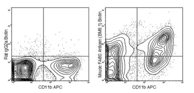 Anti-F4/80 (mouse), clone BM8.1, biotin conjugate Antibody clone BM8.1, from rat, purified by affinity chromatography