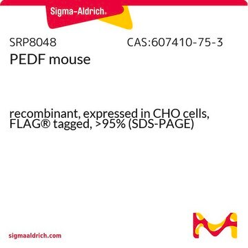 PEDF mouse recombinant, expressed in CHO cells, FLAG&#174; tagged, &gt;95% (SDS-PAGE)