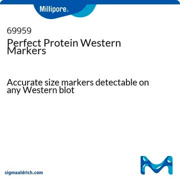 Perfect Protein Western Markers Accurate size markers detectable on any Western blot