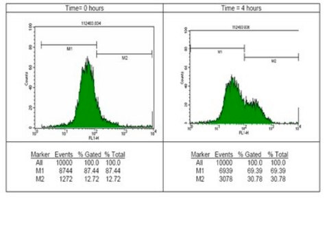 Anti-phospho-Histone H2A.X (Ser139) Antibody, clone JBW301, FITC conjugate clone JBW301, Upstate&#174;, from mouse