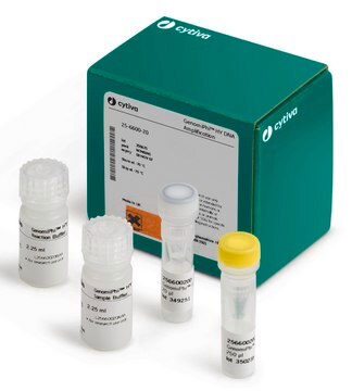 Genomiphi&#8482; Hy Kit Cytiva 25-6600-20, sufficient for 100&#160;reactions