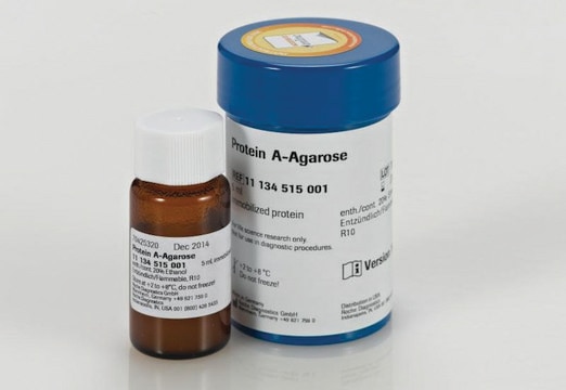 Protein A Agarose &gt;98% (HPLC and SDS-PAGE), suspension