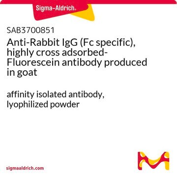 Anti-Rabbit IgG (Fc specific), highly cross adsorbed-Fluorescein antibody produced in goat affinity isolated antibody, lyophilized powder