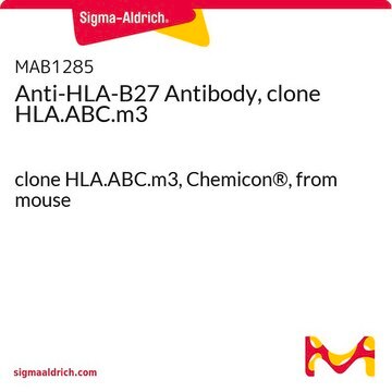 Anti-HLA-B27 Antibody, clone HLA.ABC.m3 clone HLA.ABC.m3, Chemicon&#174;, from mouse