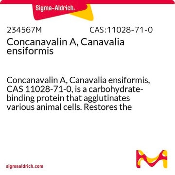 Concanavalin A, Canavalia ensiformis Concanavalin A, Canavalia ensiformis, CAS 11028-71-0, is a carbohydrate-binding protein that agglutinates various animal cells. Restores the growth pattern of tumor cells to that of normal cells.