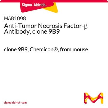 Anti-Tumor Necrosis Factor-&#946; Antibody, clone 9B9 clone 9B9, Chemicon&#174;, from mouse