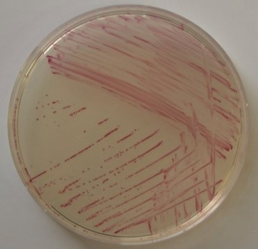 Chromocult&#174; Enterococci-Agar Selective culture medium for the isolation and differentiation of Enterococci