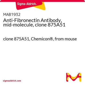 Anti-Fibronectin Antibody, mid-molecule, clone 875A51 clone 875A51, Chemicon&#174;, from mouse