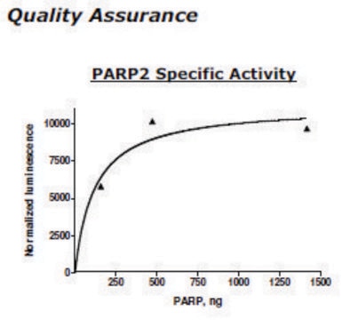 PARP2 Active human recombinant, expressed in baculovirus infected insect cells, &#8805;60% (SDS-PAGE)