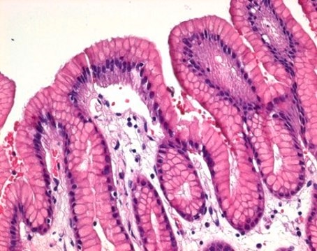 Eosin Y-solution 0.5% alcoholic for microscopy