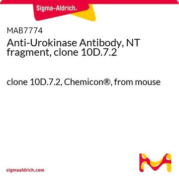 Anti-Urokinase Antibody, NT fragment, clone 10D.7.2 clone 10D.7.2, Chemicon&#174;, from mouse