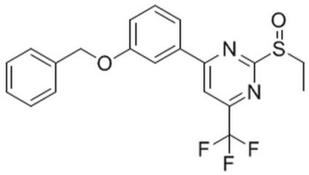 Glucagon-Like Peptide 1 Receptor Agonist II