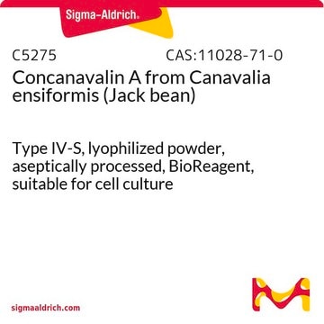 Concanavalin A from Canavalia ensiformis (Jack bean) Type IV-S, lyophilized powder, aseptically processed, BioReagent, suitable for cell culture