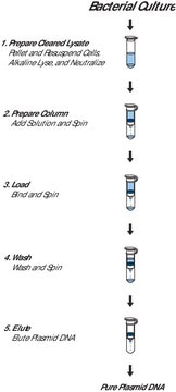 GenElute&#8482; Plasmid Miniprep Kit sufficient for 70&#160;purifications