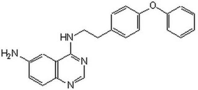 NF-&#954;B Activation Inhibitor InSolution, &#8805;98%