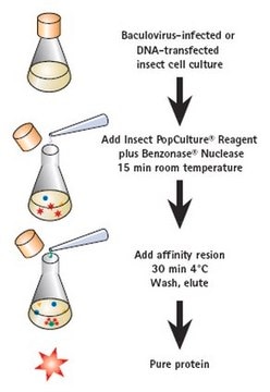 Insect PopCulture&#174; Reagent Protein extraction directly from insect cell cultures