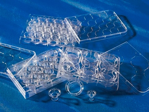 Corning&#174; Costar&#174; Transwell&#174; cell culture inserts TC treated, PET membrane, diam. 6.5&#160;mm, pore size 8.0&#160;&#956;m, sterile