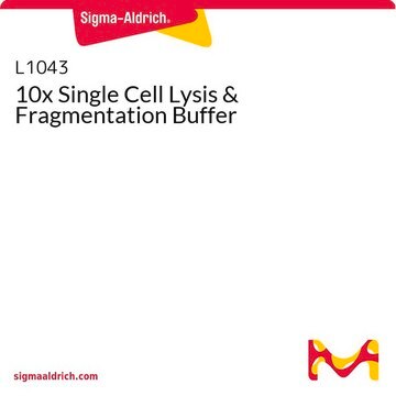 10x Single Cell Lysis &amp; Fragmentation Buffer