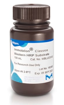 Immobilon Classico Western HRP substrate Western blotting, dot/slot blotting