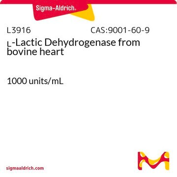 L-Lactic Dehydrogenase from bovine heart 1000&#160;units/mL